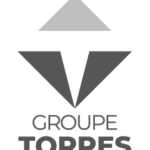 Logo_GT_Gris